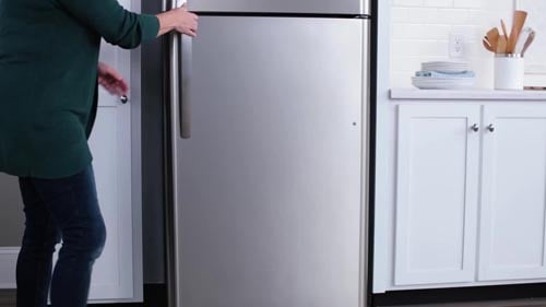 Top Mount Refrigerator Cleaning